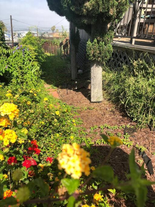 Apartment Spacious Guest Amazing Location *