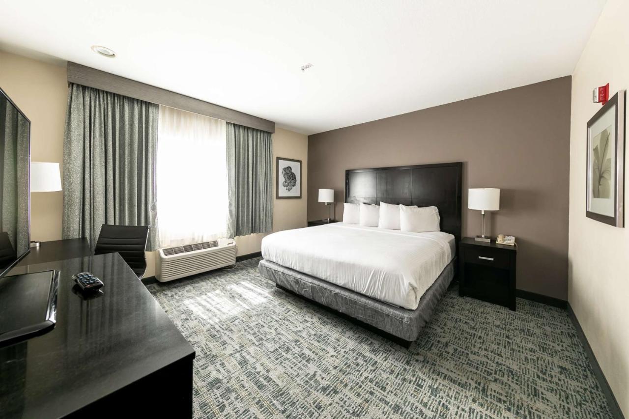 Hotel Western & Zoo -seaworld Area