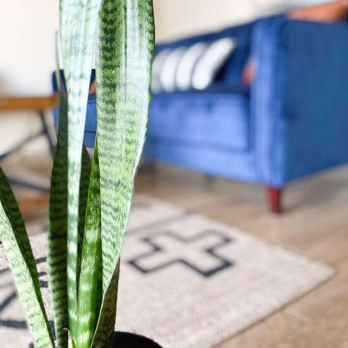 Stunning Urban Minutes From Downtown Holiday home San Diego