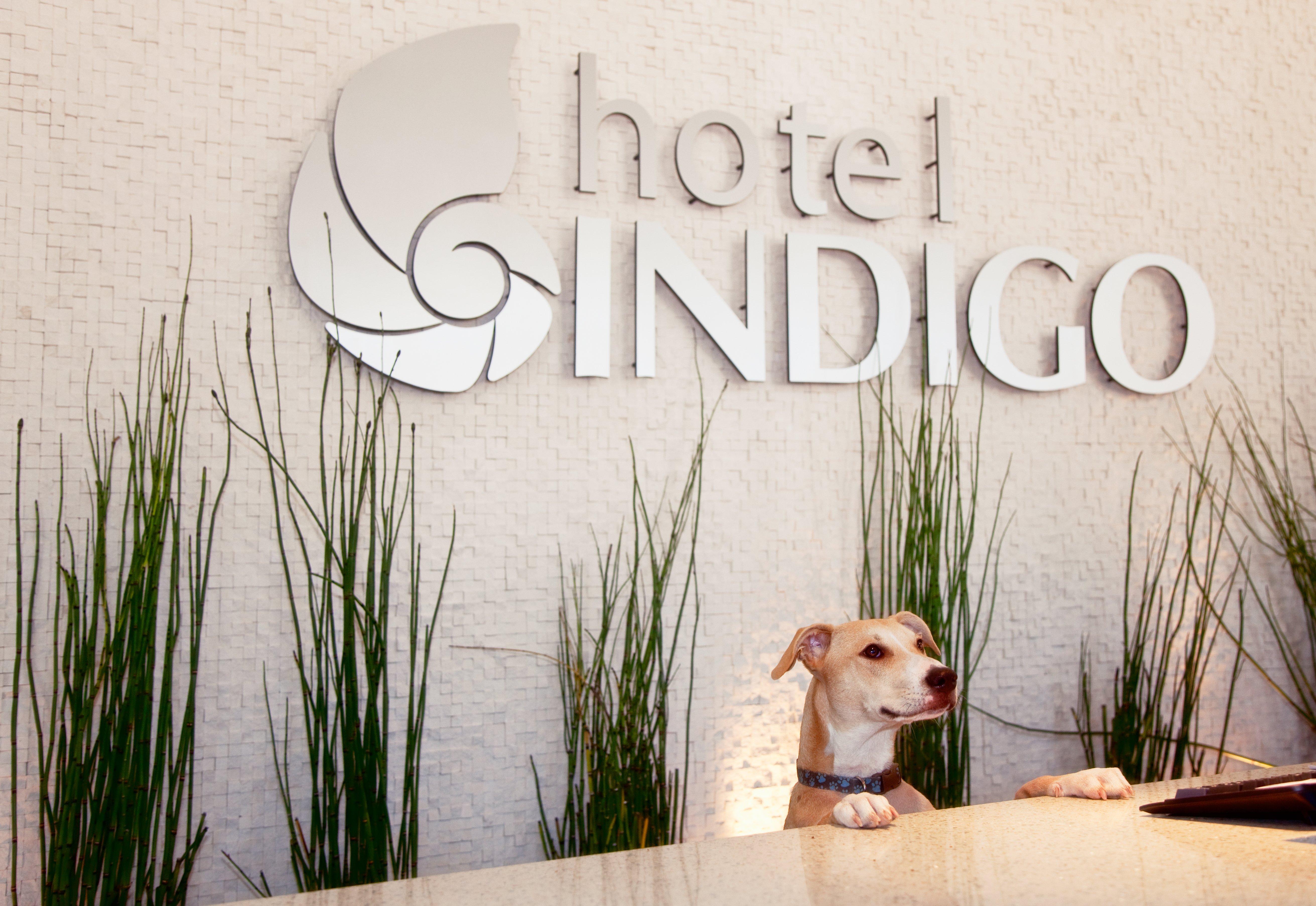 Hotel Indigo - Gaslamp Quarter By Ihg 4*