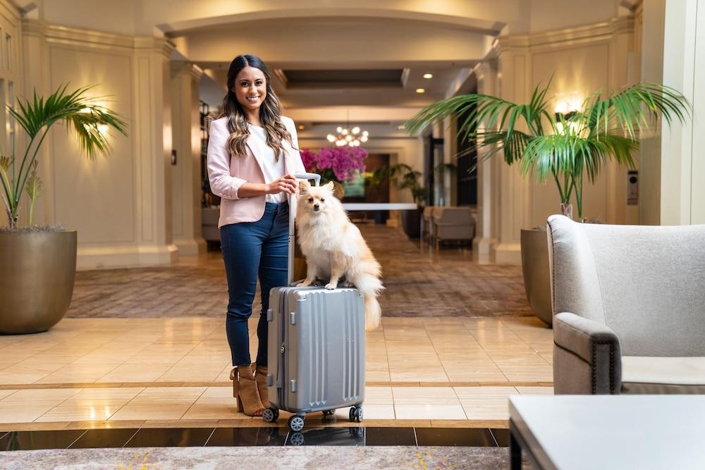 Doubletree By Hilton San Diego-mission Valley 4* San Diego