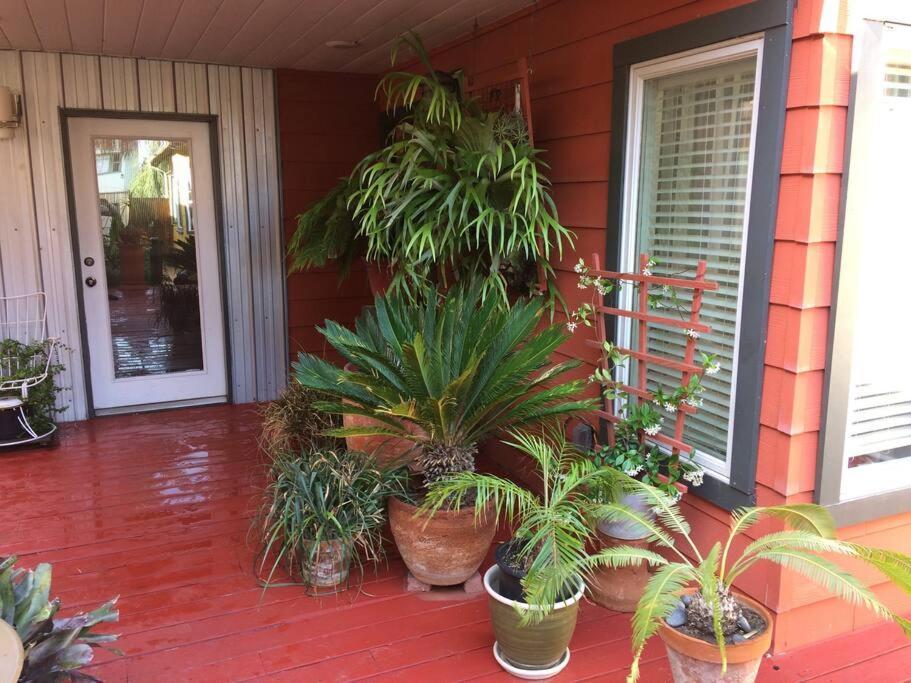 Apartment Serenity House Near Gaslamp, Zoo & Petco
