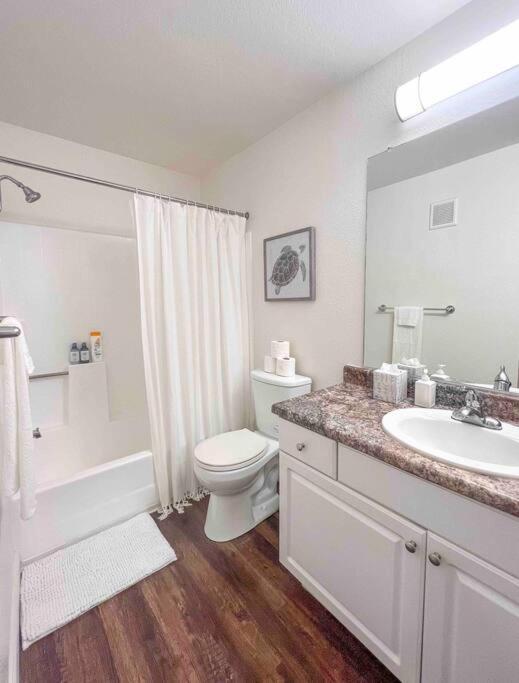 Modern In Prime La Jolla Location * San Diego