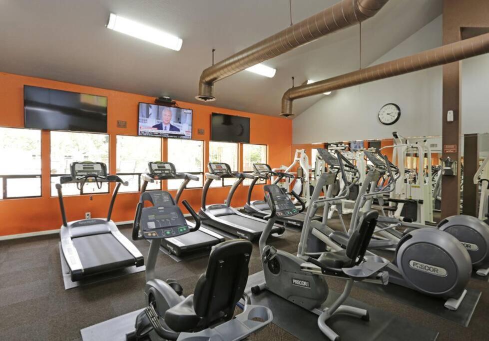 Modern In Prime La Jolla Location Apartment San Diego