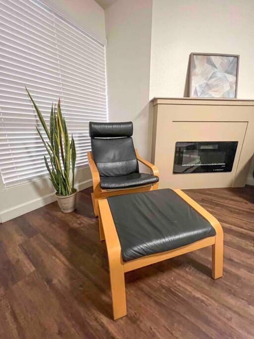Apartment Modern In Prime La Jolla Location
