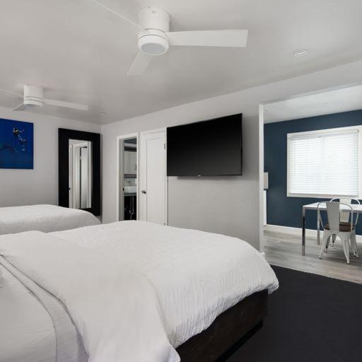 Haven 2* San Diego