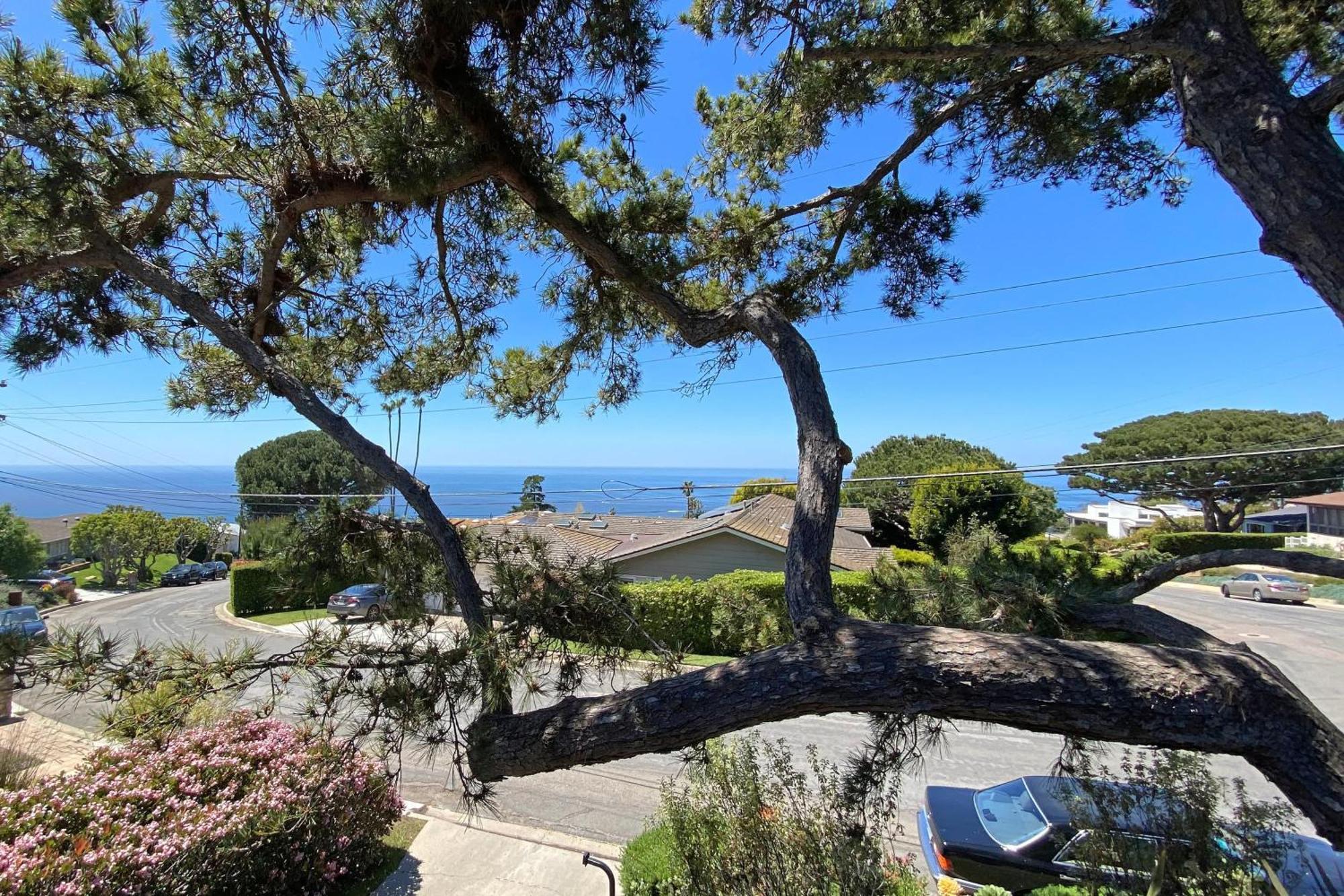 La Jolla Mid-century By Avantstay Private Pool Outdoor Living Ocean Views *