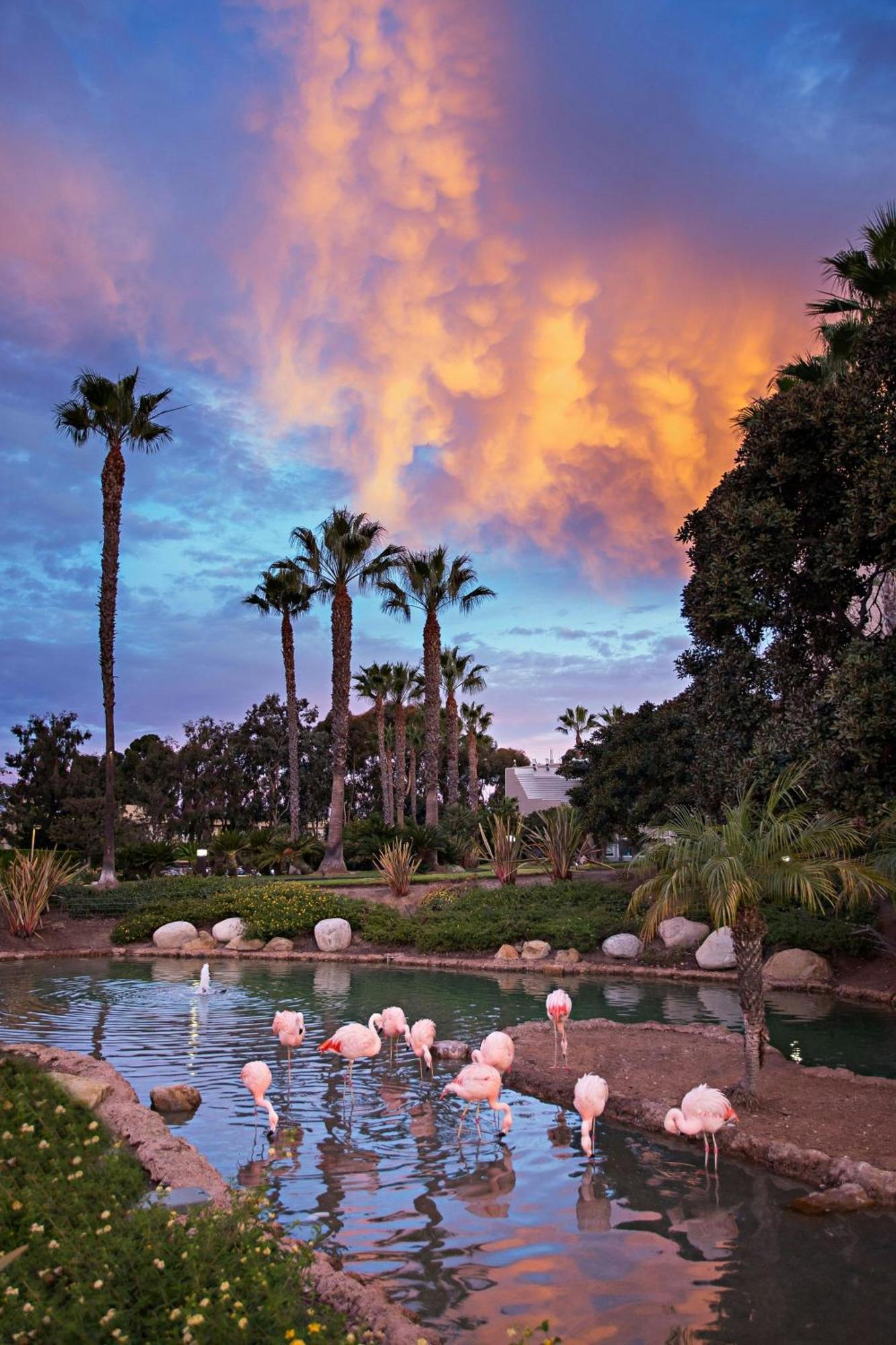 Coronado Island Marriott & Resort 4*
