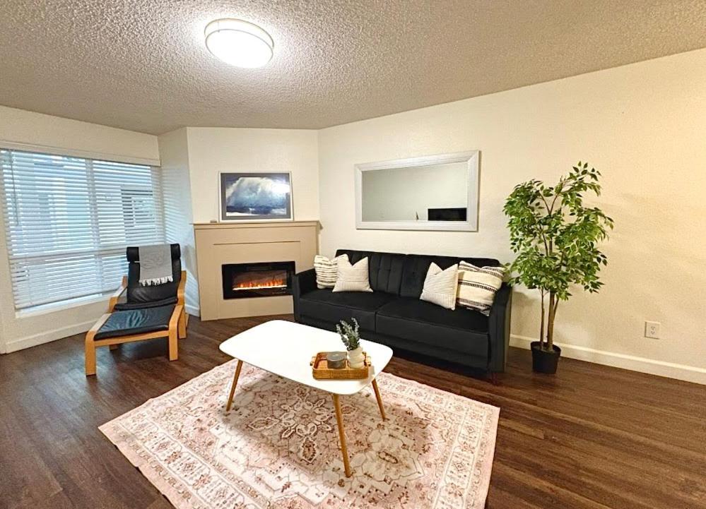 Modern In Prime La Jolla Location Apartment