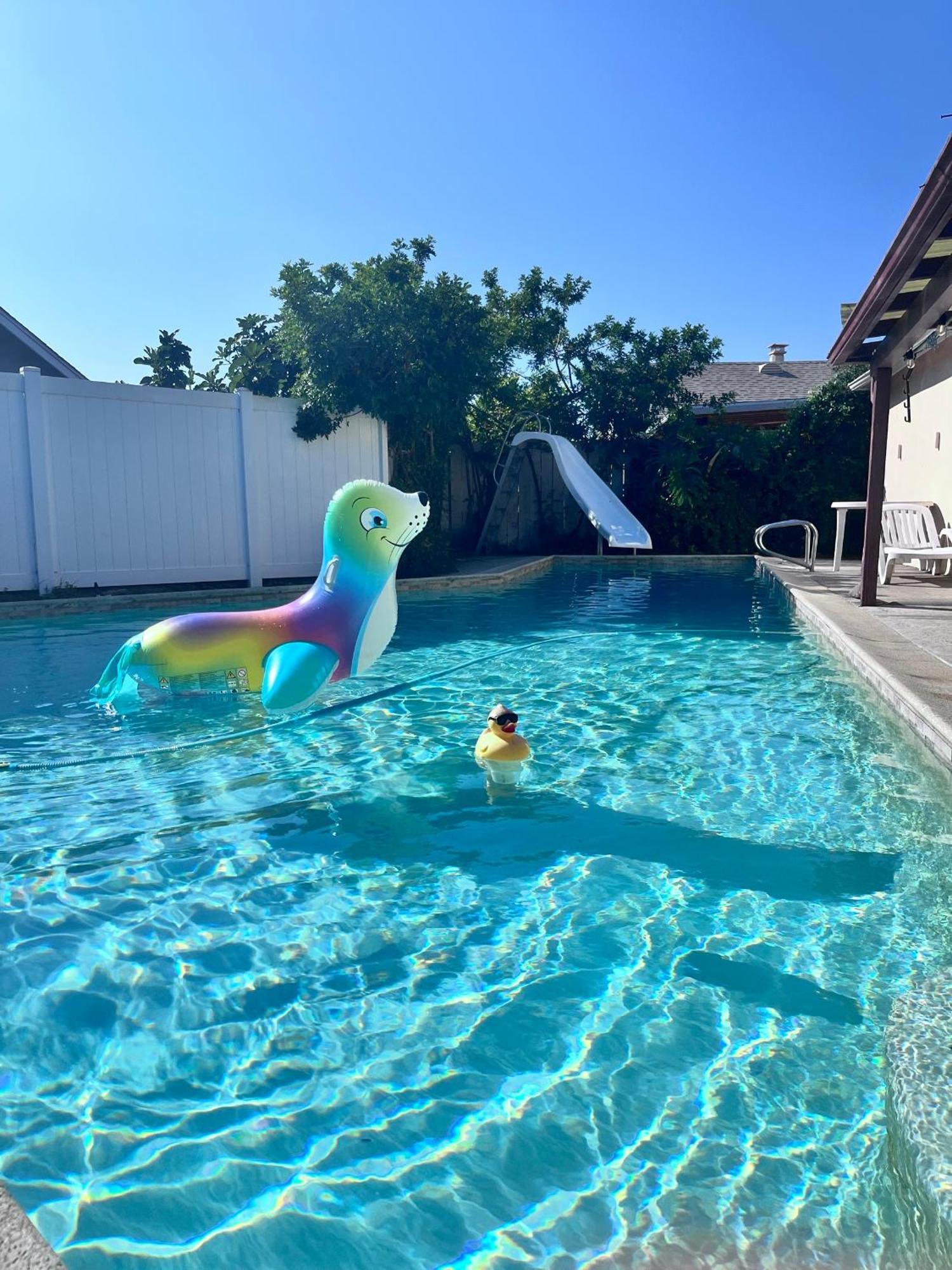 Homestay Affordable Private With Pool Access And Free Parking Near Zoo And Beaches San Diego