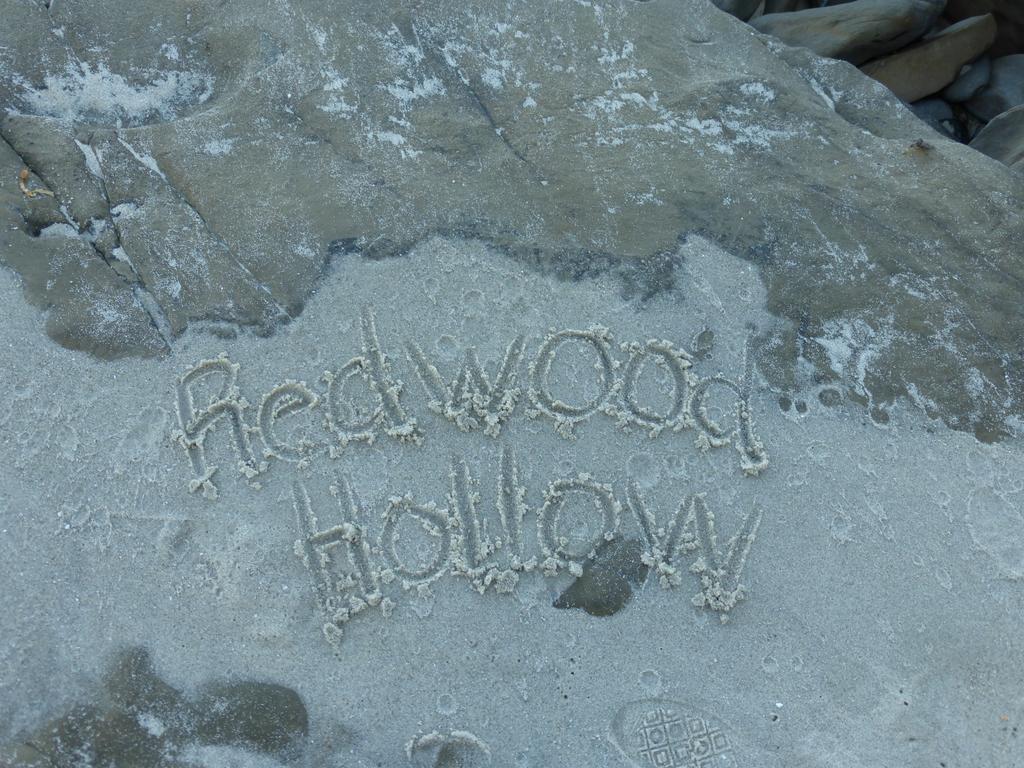 Redwood Hollow Hotel
