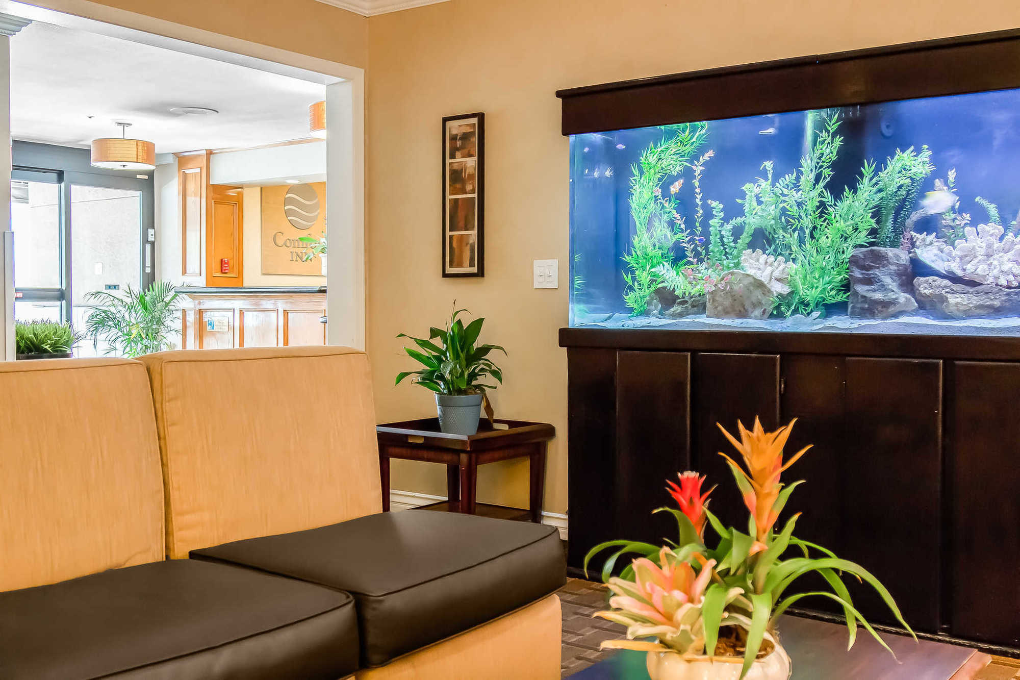 Comfort Gaslamp Convention Center Inn 3*