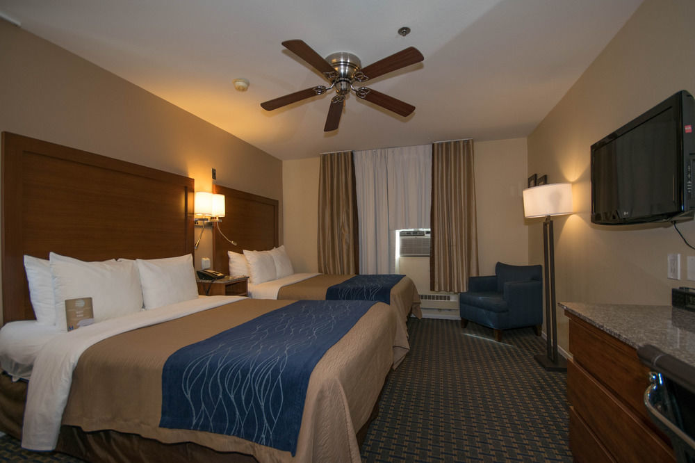 Comfort Gaslamp Convention Center