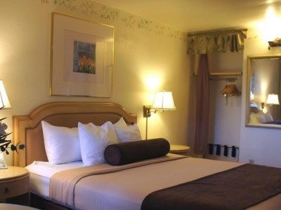 Western Downtown Hotel