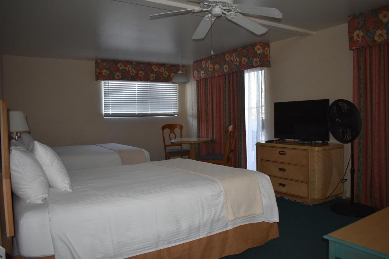 The 3* San Diego