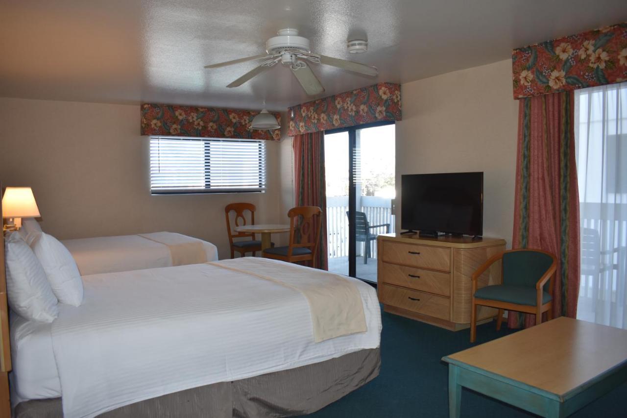 Hotel The 3*